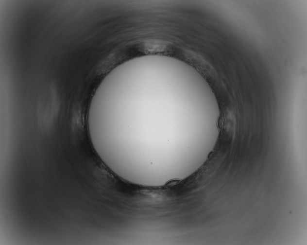 X0000089830763200707121640