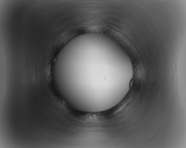 X0000089830764200707121640