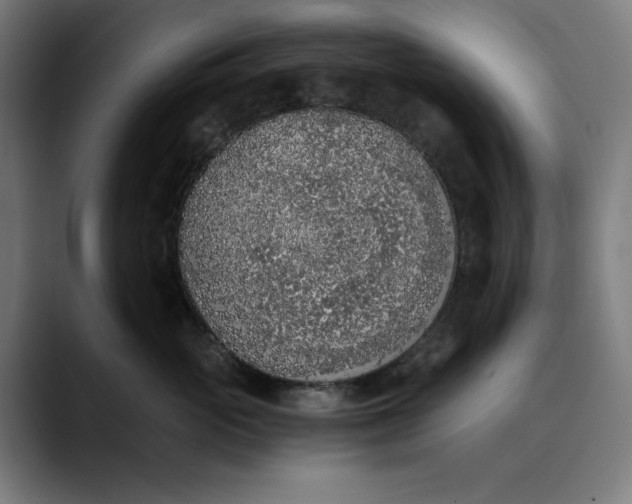 X0000089830765200707121640