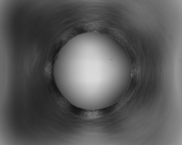 X0000089830767200707121641