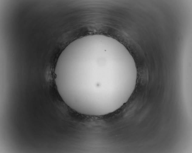 X0000089830770200707121640