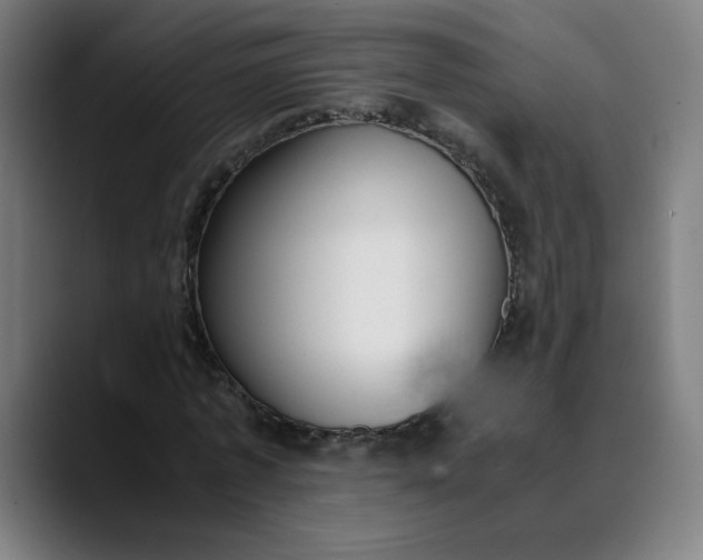 X0000089830773200707121640