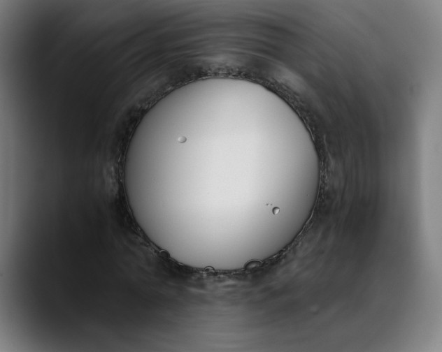 X0000089830774200707121640