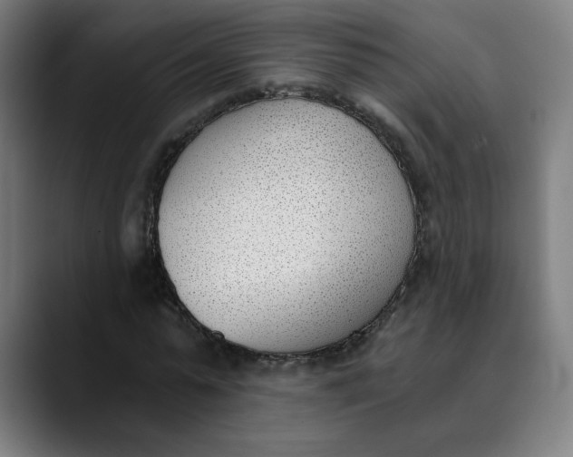 X0000089830775200707121640