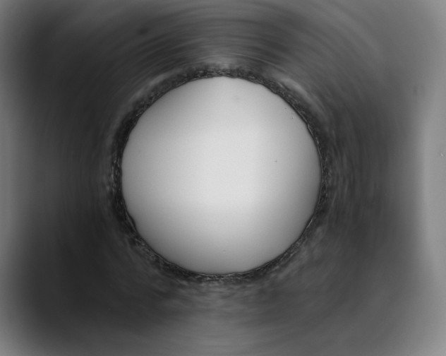 X0000089830776200707121640