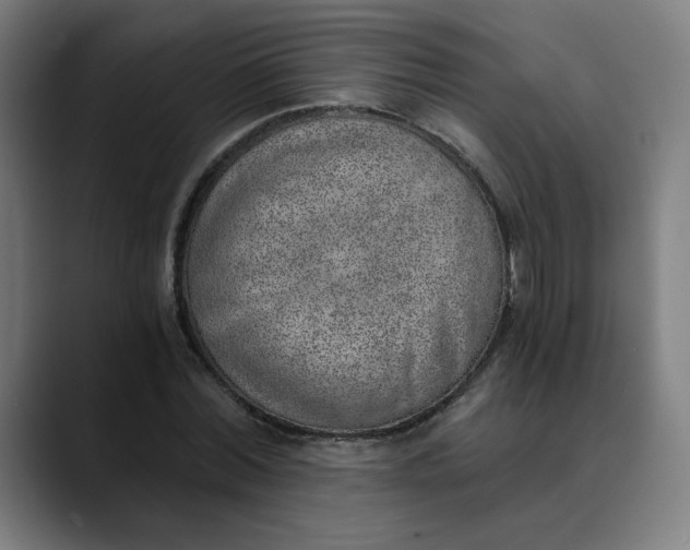 X0000089830780200707121640