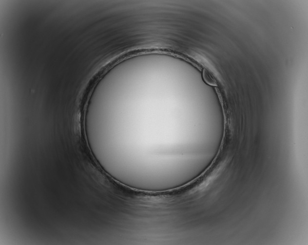 X0000089830781200707121640