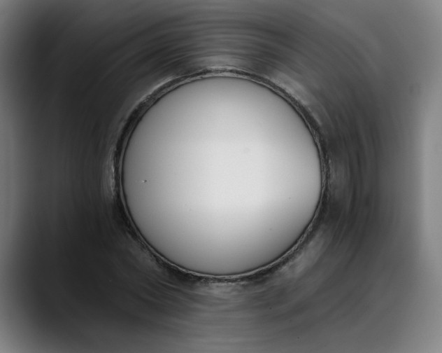 X0000089830782200707121640