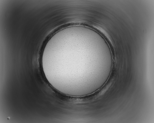 X0000089830783200707121640