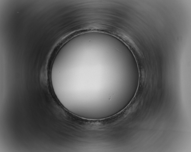 X0000089830784200707121640