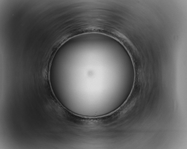 X0000089830785200707121640