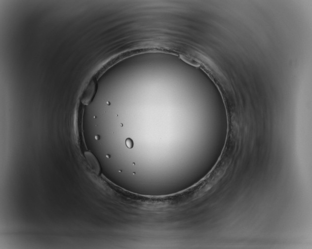 X0000089830788200707121640