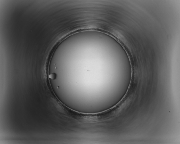 X0000089830789200707121640