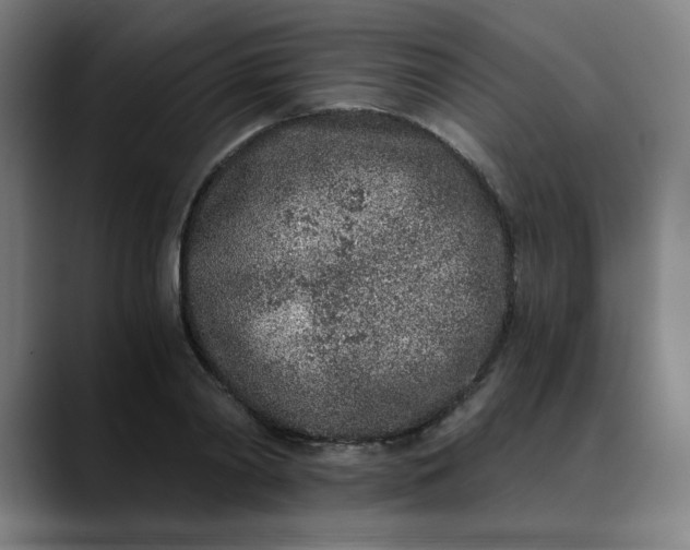 X0000089830790200707121640