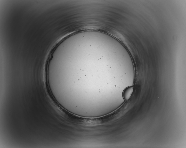 X0000089830795200707121640