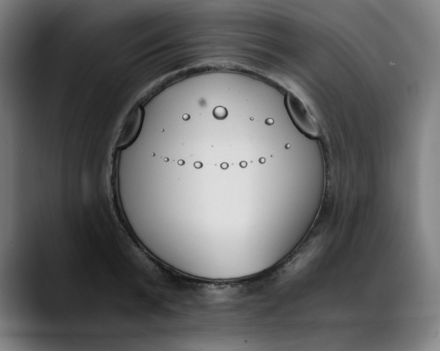 X0000089830799200707121640