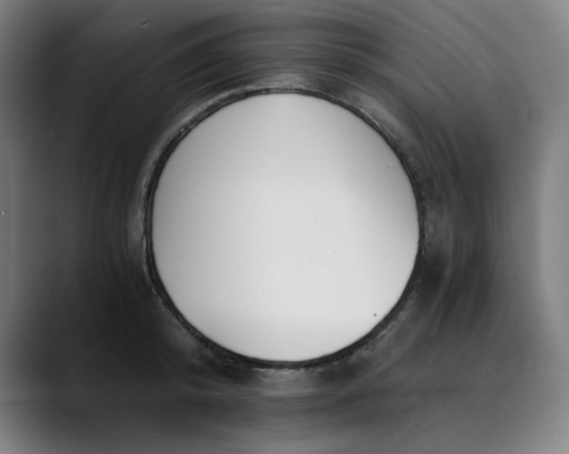 X0000089830800200707121640