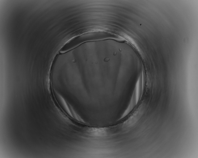 X0000089830802200707121640