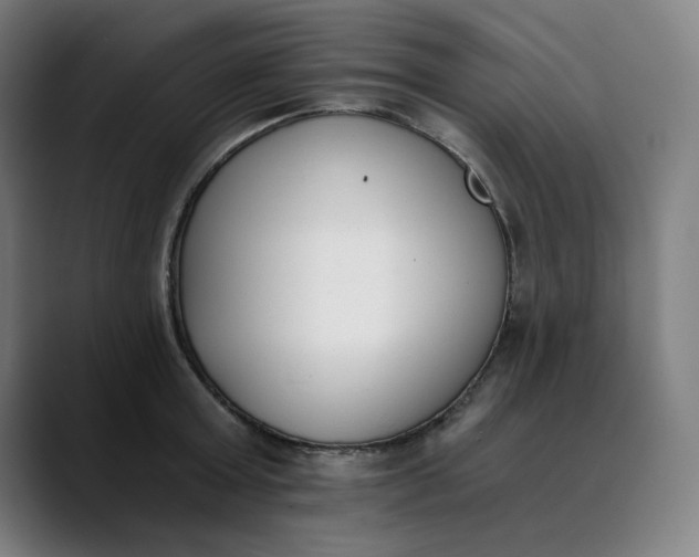 X0000089830803200707121640