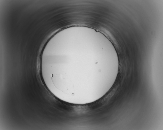 X0000089830804200707121640