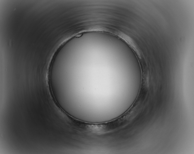 X0000089830805200707121640