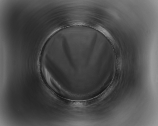 X0000089830806200707121640