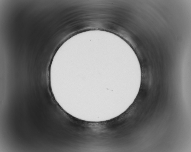 X0000089830807200707121640