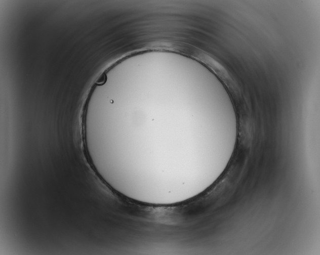 X0000089830808200707121640