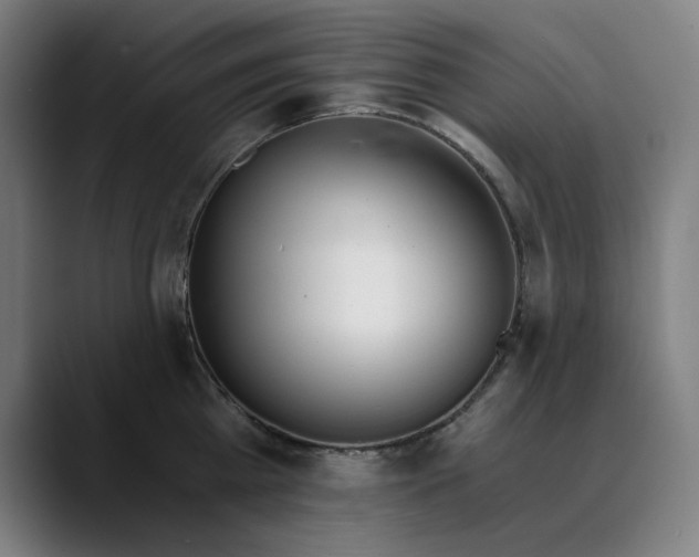 X0000089830809200707121640