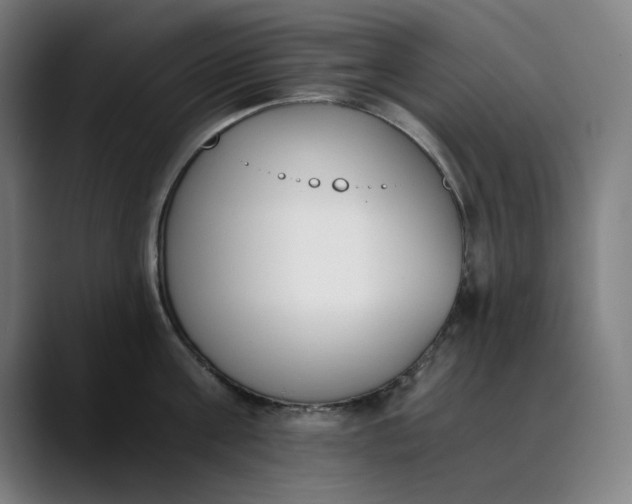 X0000089830811200707121639