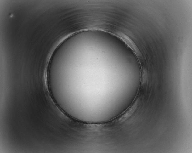 X0000089830812200707121639