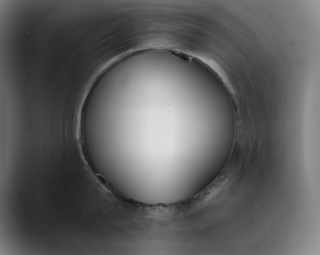 X0000089830815200707121639