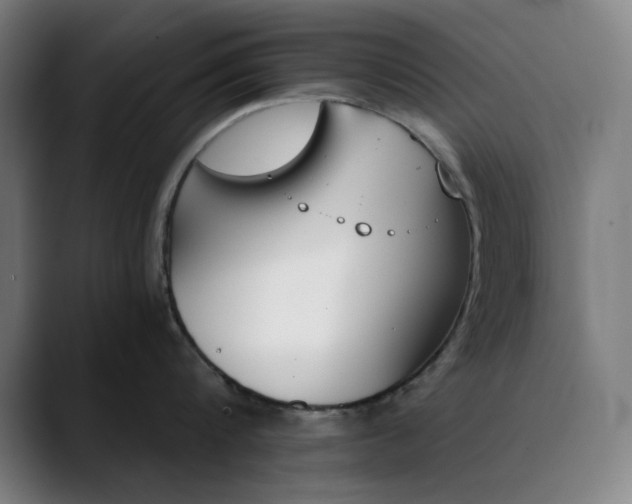 X0000089830816200707121639