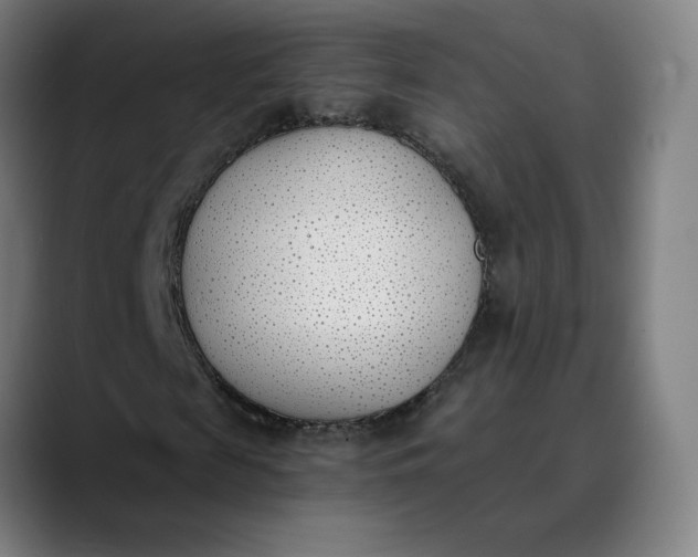 X0000089830817200707121639