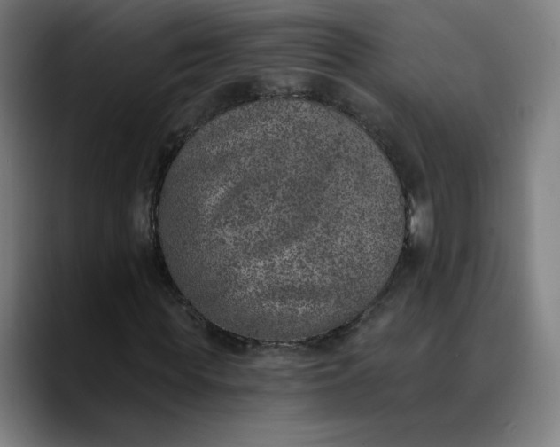 X0000089830819200707121639