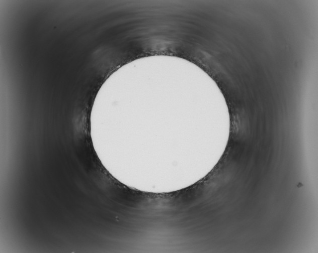 X0000089830820200707121639