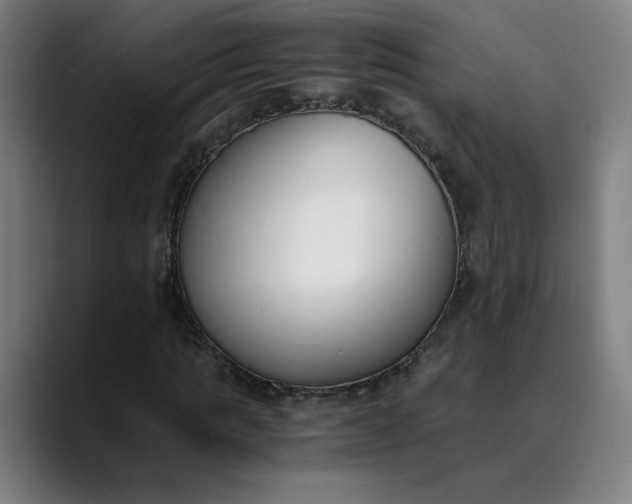 X0000089830821200707121639