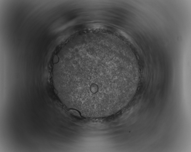 X0000089830823200707121639