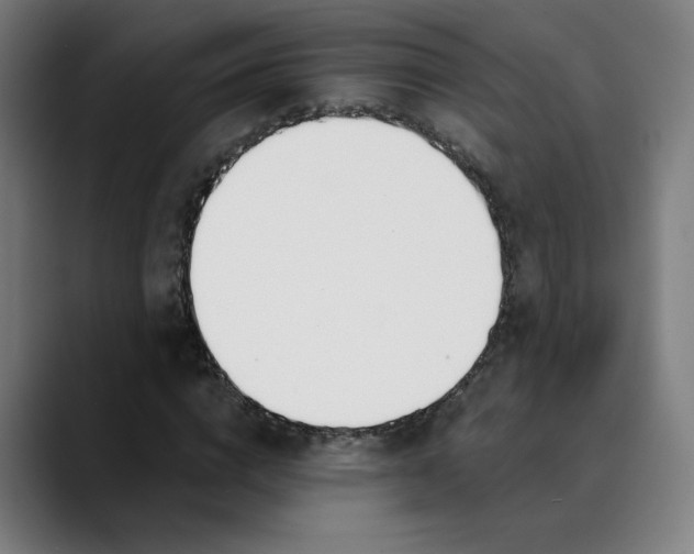 X0000089830824200707121639