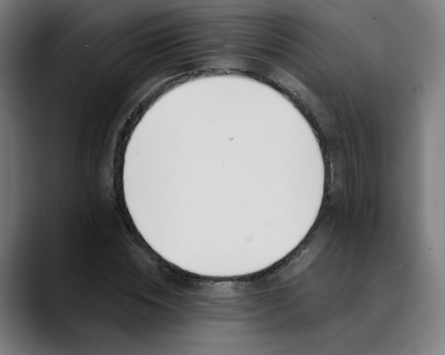 X0000089830828200707121639