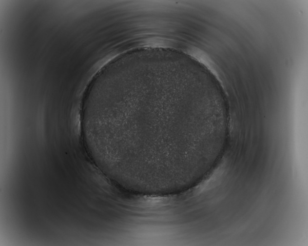 X0000089830829200707121639