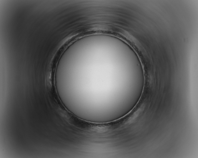 X0000089830830200707121639