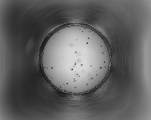 X0000089830831200707121639