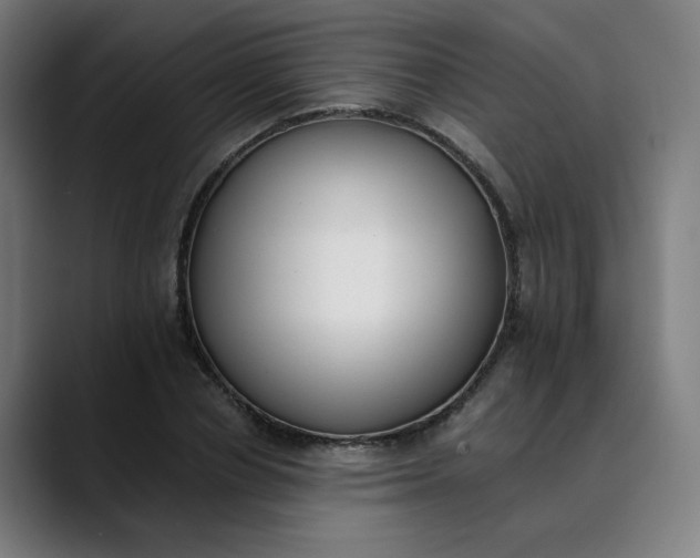 X0000089830834200707121639