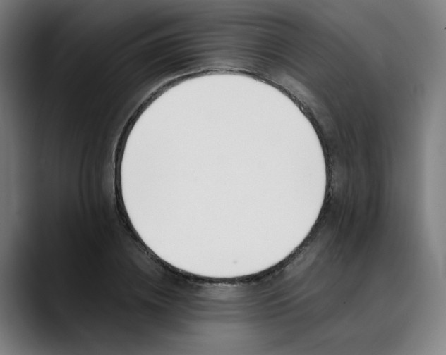 X0000089830836200707121639