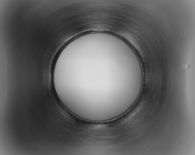 X0000089830837200707121639