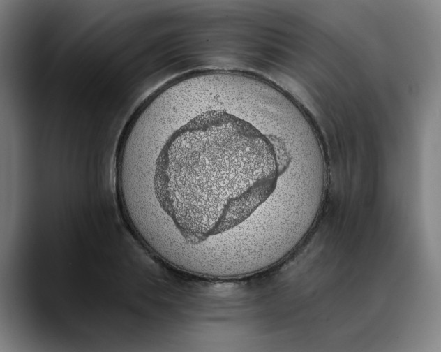 X0000089830839200707121639