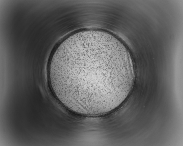 X0000089830840200707121639