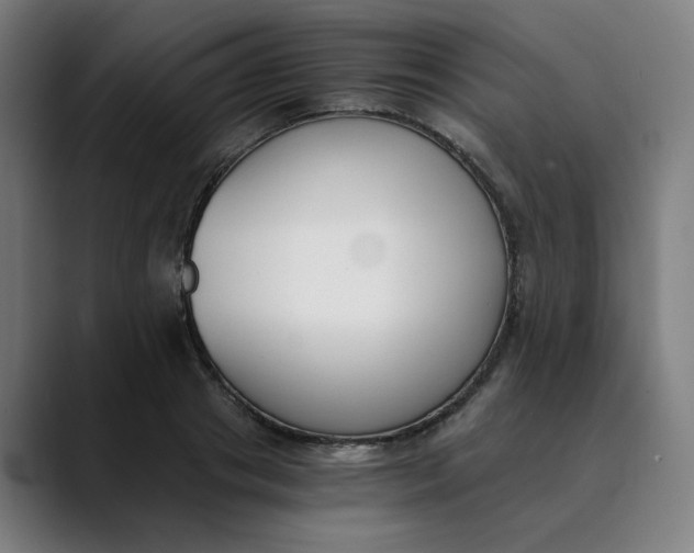 X0000089830841200707121639