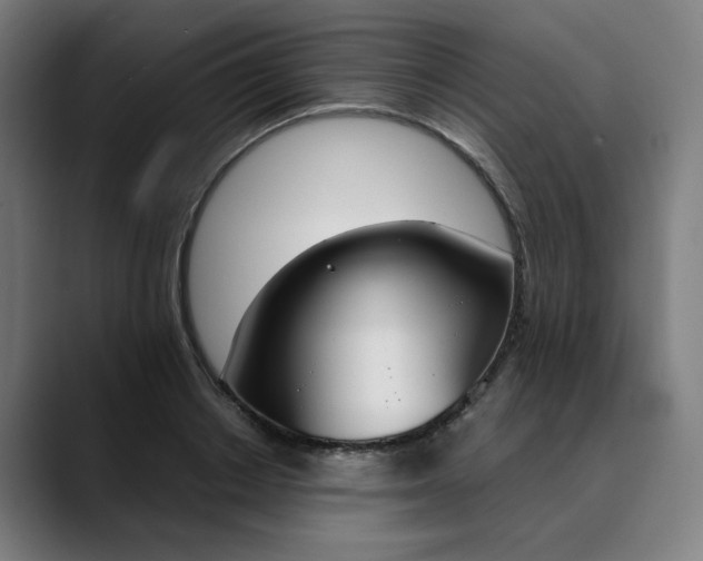 X0000089830842200707121639